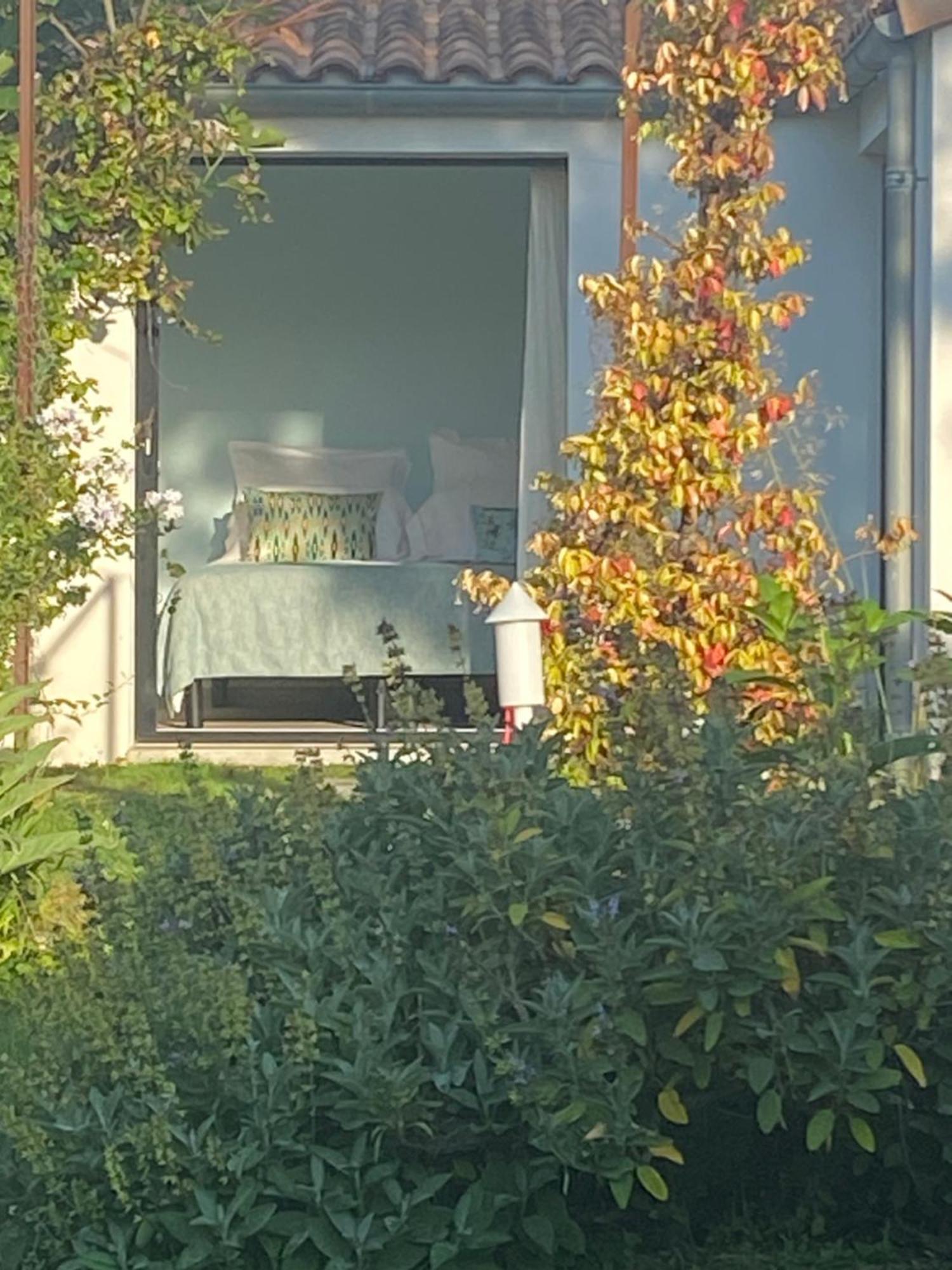 Mornac-sur-Seudre Le 5 Bis Bed & Breakfast エクステリア 写真